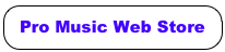 Pro Music Web Store